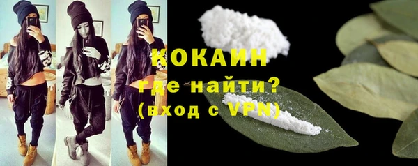 соль ск Арсеньев